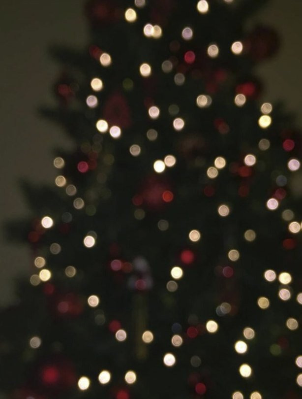 Scherm­afbeelding 2025-07-21 om 15.53.40